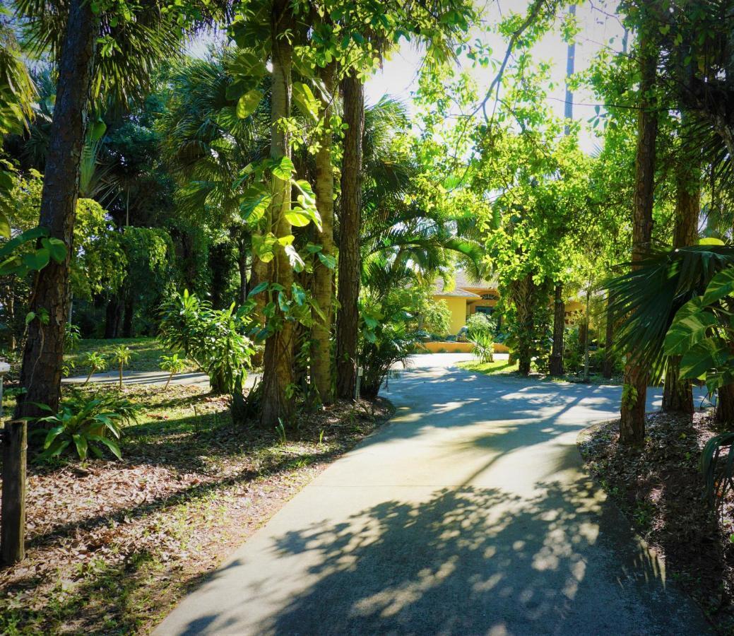 Jupiter Waterfalls - Newly Updated - Tiki Hut, Fire Pit, Kitchen, Pool Heater And More Exterior foto