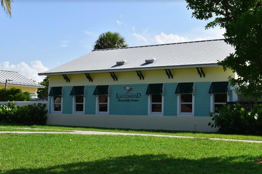 Jupiter Waterfalls - Newly Updated - Tiki Hut, Fire Pit, Kitchen, Pool Heater And More Exterior foto